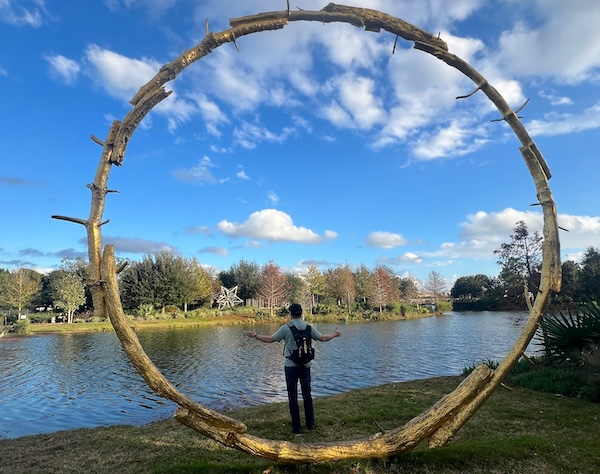 Some Closing Thoughts on This Incredible Year